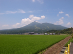 R0015893_rs.jpg