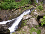 R0015981_rs.jpg